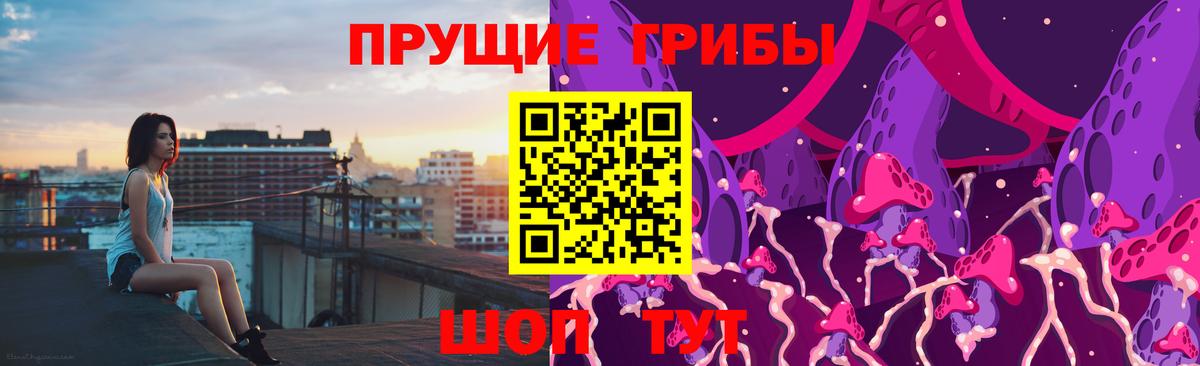 Артём  Галлюциногенные грибы Psilocybe  Псилоцибиновые грибы GOLDEN TEACHER  Вход с VPN 